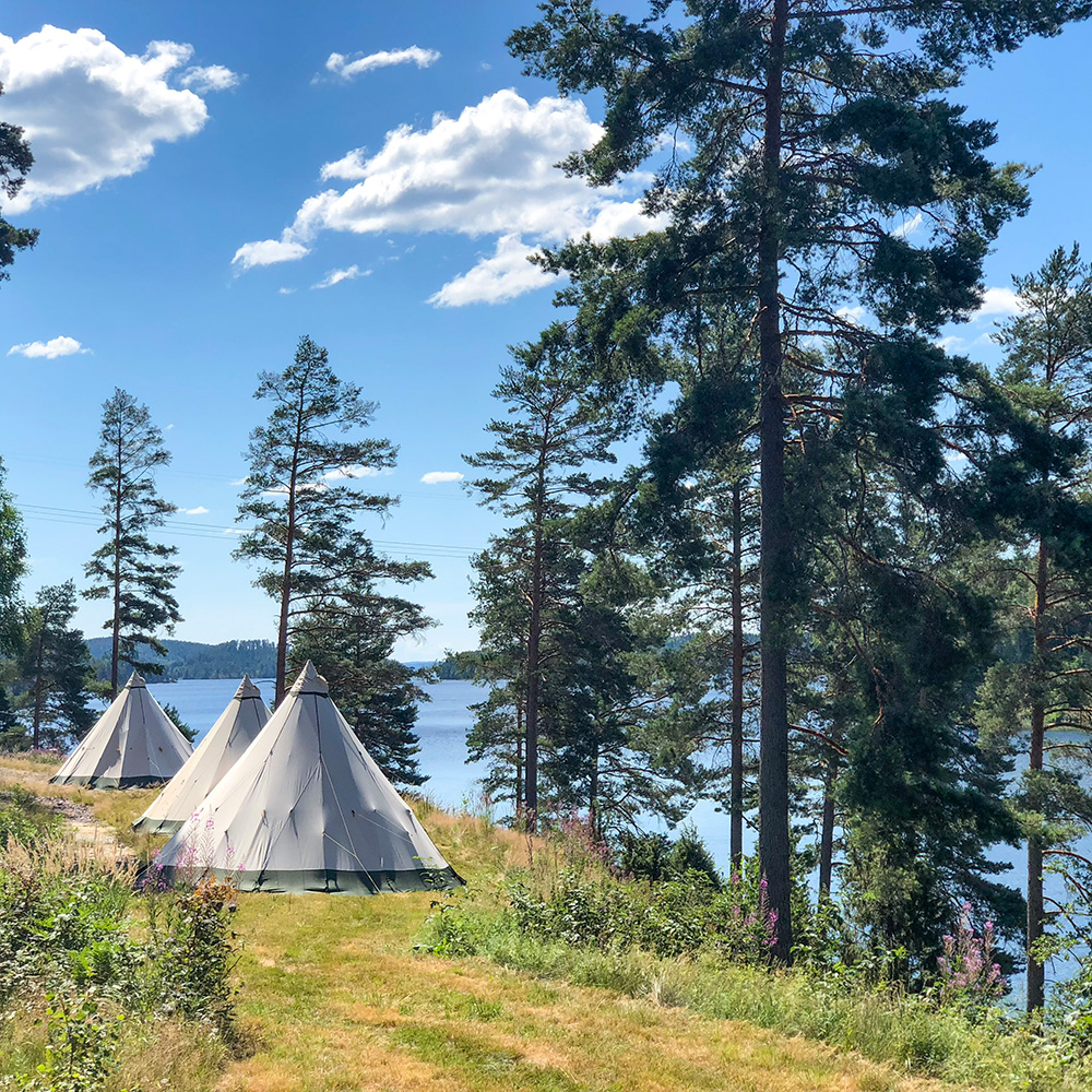 Två koniska tält är uppställda bland höga tallar bredvid en lugn sjö under en blå himmel med spridda moln; grönt gräs och vildblommor kantar sjöstranden.